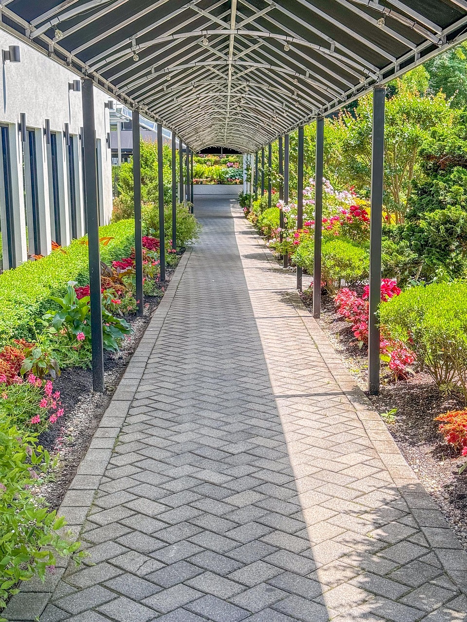 walkway, flower wallpaper, nature, flowers, flower background, path, beautiful flowers, architecture